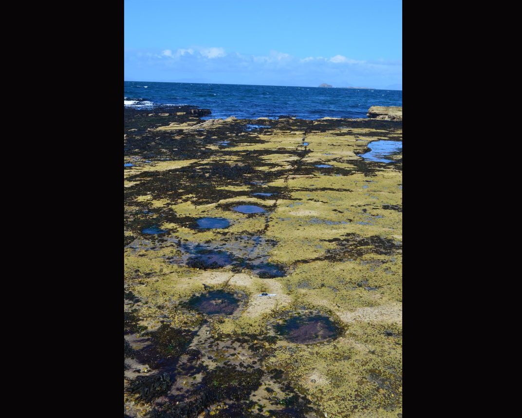 Tracks were made by sauropod dinosaurs on the Isle of Skye 170 million years ago. Via Steve Brusatte.