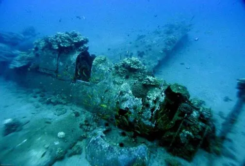 Helldiver-505.jpg