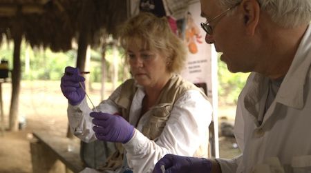In the Amazon, María Gloria Domínguez-Bello and her team collected about 1,500 DNA samples to identify any microbe species that modern medicine may have wiped out.