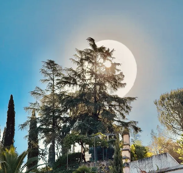 Sun of Granada thumbnail