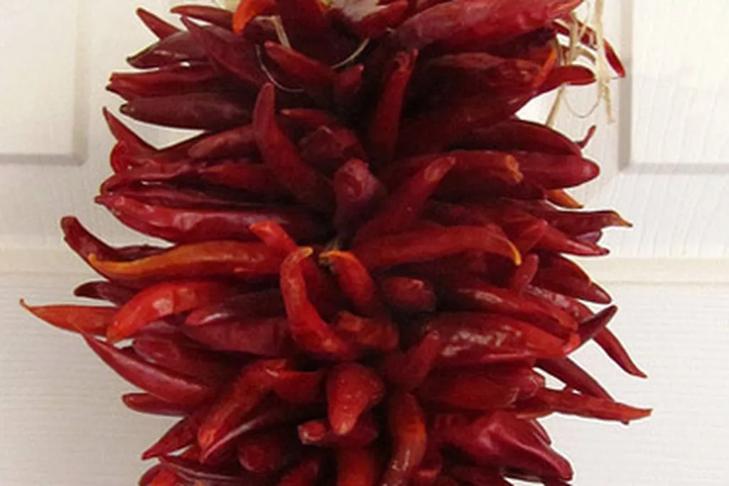 Dried chili pepper wreath