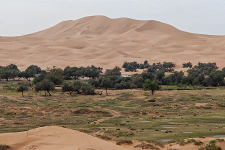 Warming spurred by Earth's next supercontinent could lead to widespread desert conditions, a new modeling study suggests. Pictured is the Tengger Desert in Inner Mongolia, an autonomous region of China.