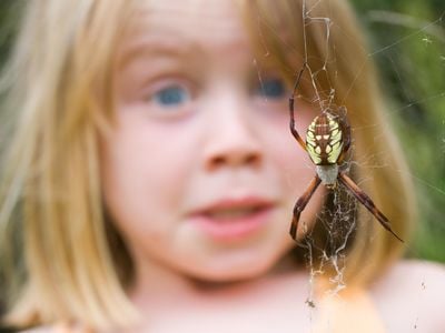 Is fear of creepy crawlies nature or nurture?