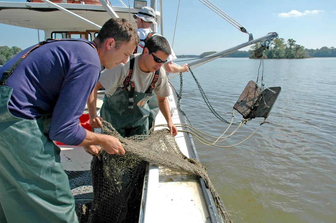 Two scientists in green waders lean over the side of a boat, pulling in a net from the water.