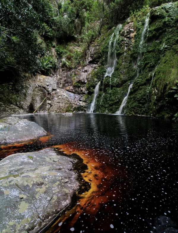 Pools of Night thumbnail