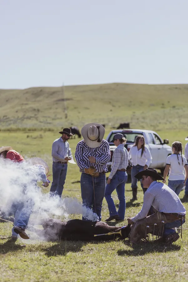 Branding Day. thumbnail