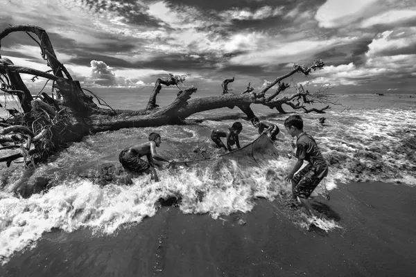 Roar of the Rising Tide thumbnail