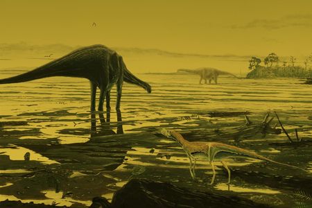 This is an artist's impression of sauropod dinosaurs on the Isle of Skye.