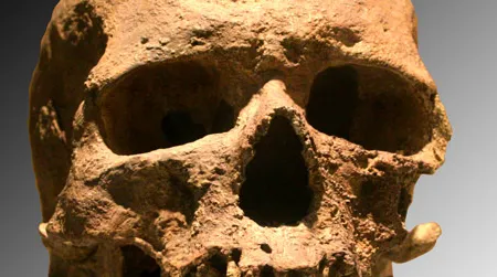 Cro-Magnon was one of the first fossils of an ancient human ever discovered.