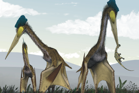 Artist's impression of a group of giant azhdarchids, Quetzalcoatlus northropi, foraging on a Cretaceous fern prairie. A juvenile titanosaur has been caught by one pterosaur, while the others stalk through the scrub in search of small vertebrates and other food.