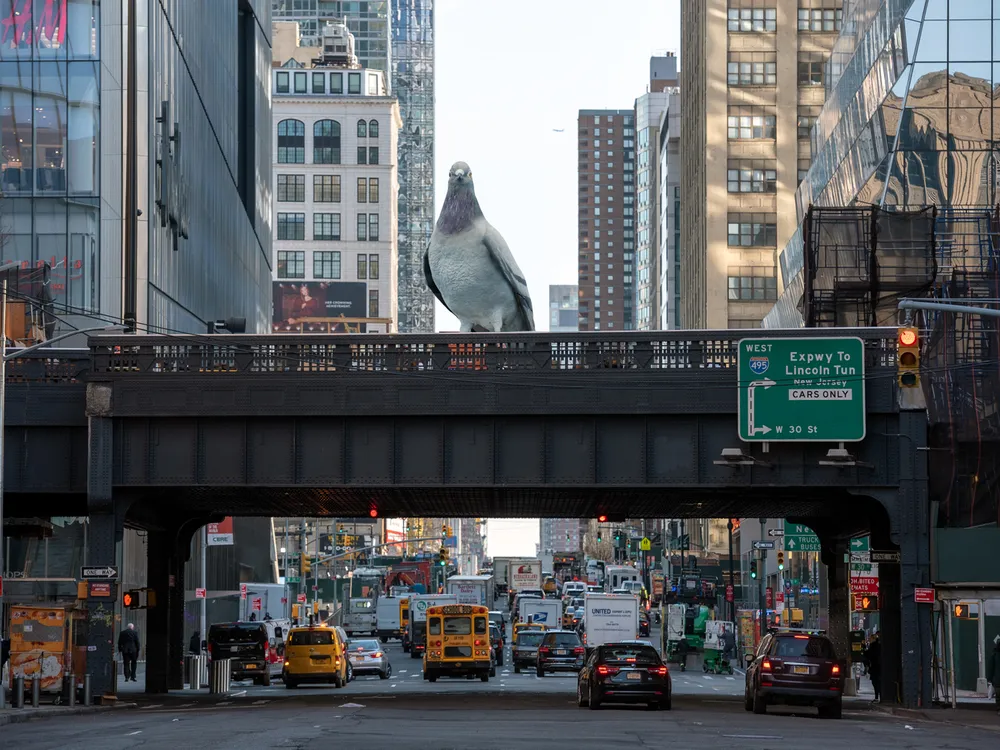 Giant Pigeon statue