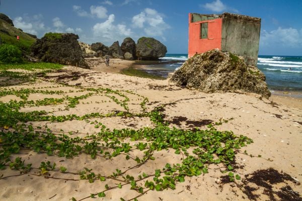 Ruins of an old building on the beach at Bathsheba, Barbados thumbnail