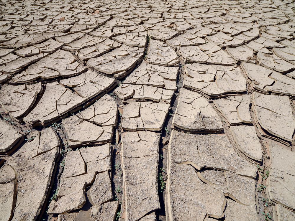 dried waterhole