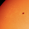Check Out the Highest-Resolution Images Ever Captured of the Sun's Entire Surface icon
