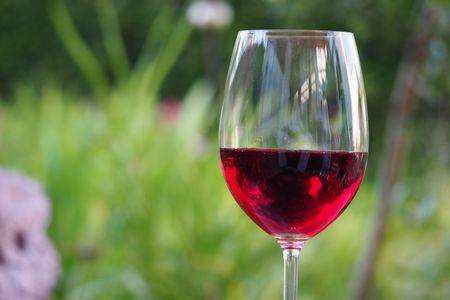 French wine became imperilled in the mid-1800s as twin pests from America swept through European agricultural regions.