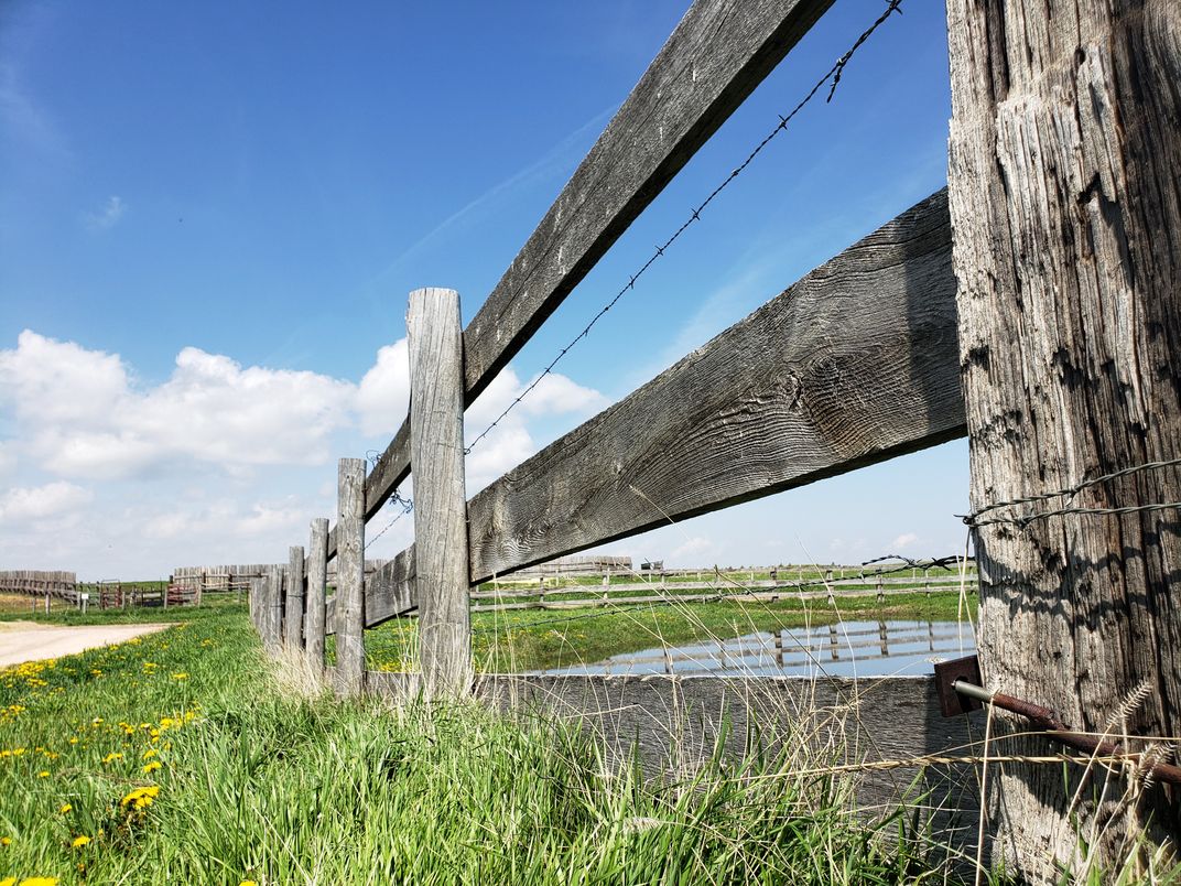 Wooden fence line around pond Smithsonian Photo Contest Smithsonian