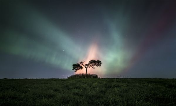 Faries Fire thumbnail