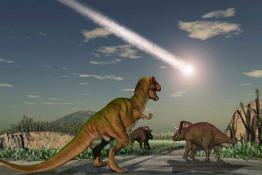 Dinosaurs and Astroid