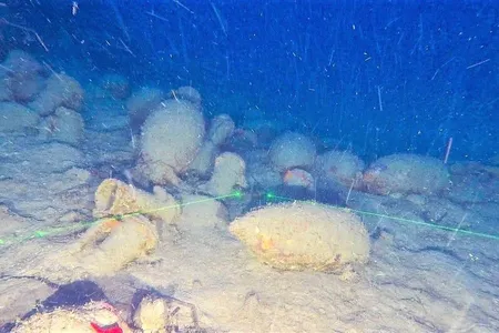 Researchers used a remotely operated vehicle (ROV) to capture photographs of the wreck.