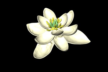 This 3D recreation depicts what scientist believe the ancestor of all modern flowers looked like