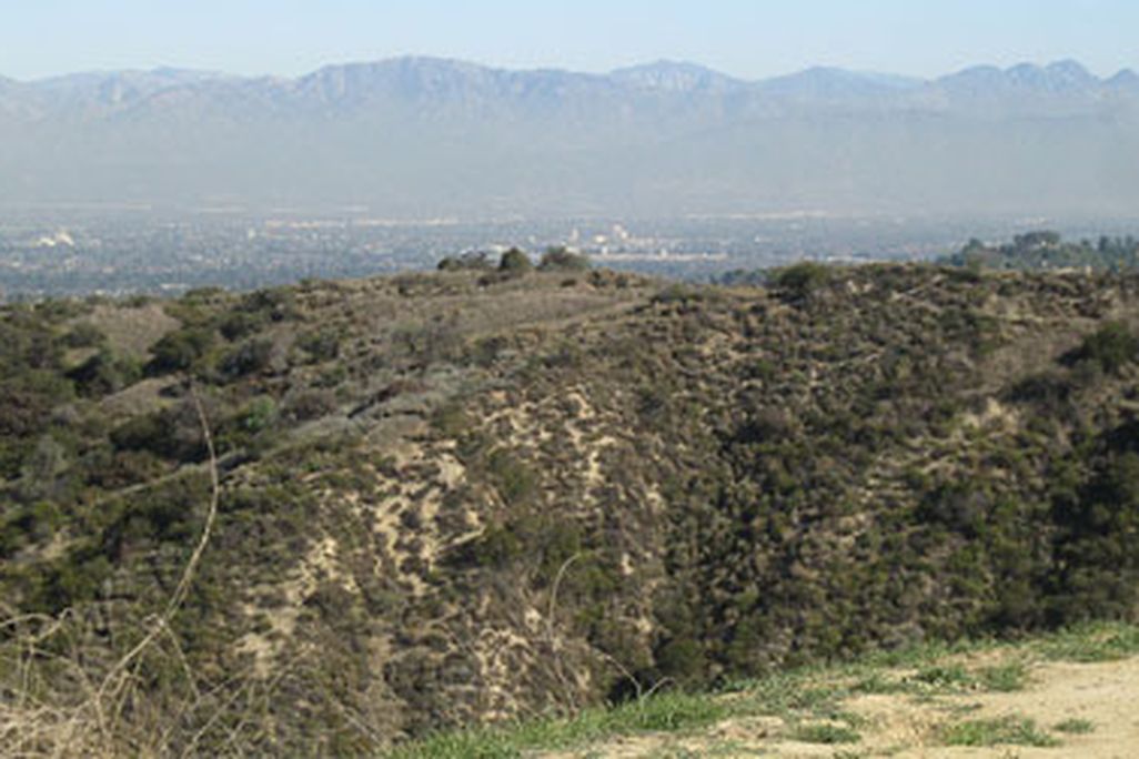 The view from the Dirt Mulholland