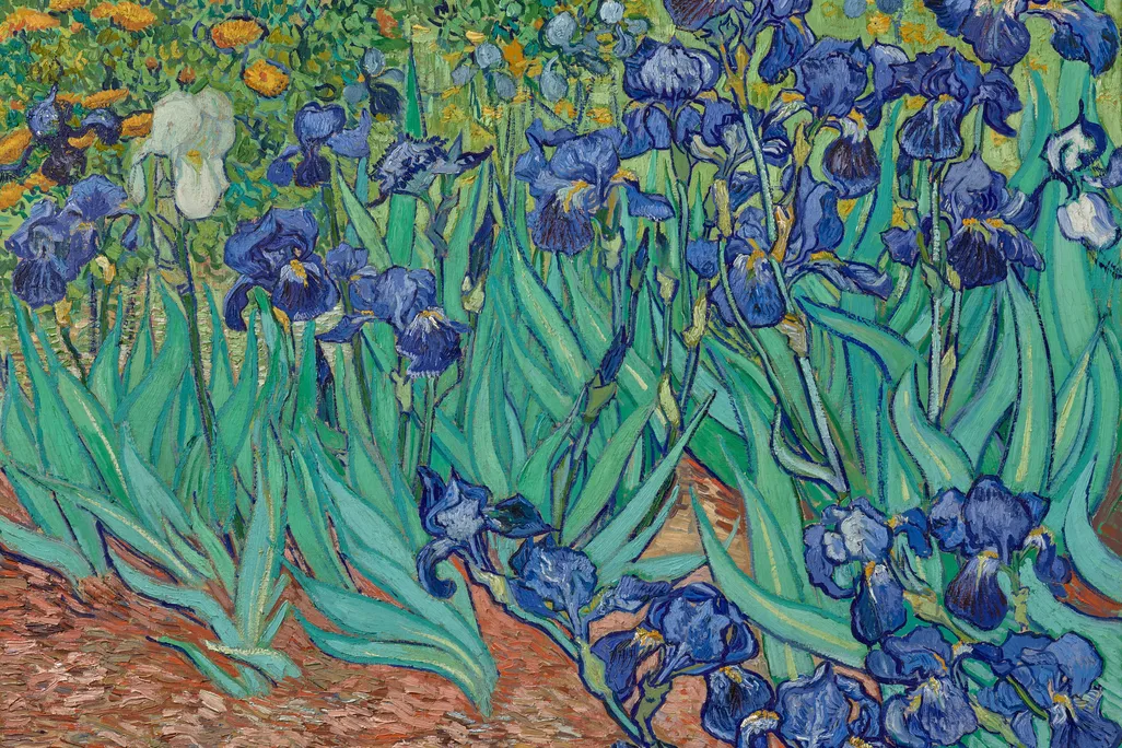 Irises
