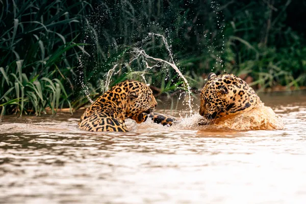 River Clash thumbnail