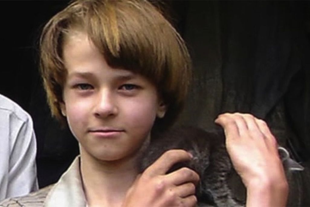 forest-boy
