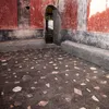 Archaeologists in Pompeii Discover Private Spa Where Dozens of Guests Bathed in Luxury 2,000 Years Ago icon