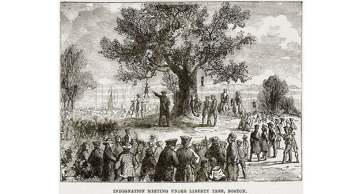 Liberty Tree