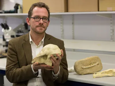 Co-author in the new study, Nick Longrich from the Milner Centre for Evolution at Bath University, poses with some mammal specimens.