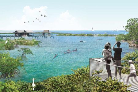 Artist's rendering of the first U.S. dolphin sanctuary