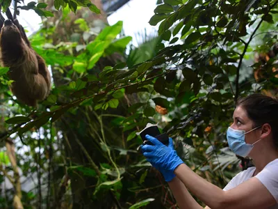 Danish scientist Kristine Bohmann collects air samples in the Copenhagen Zoo&rsquo;s tropical rainforest house.
