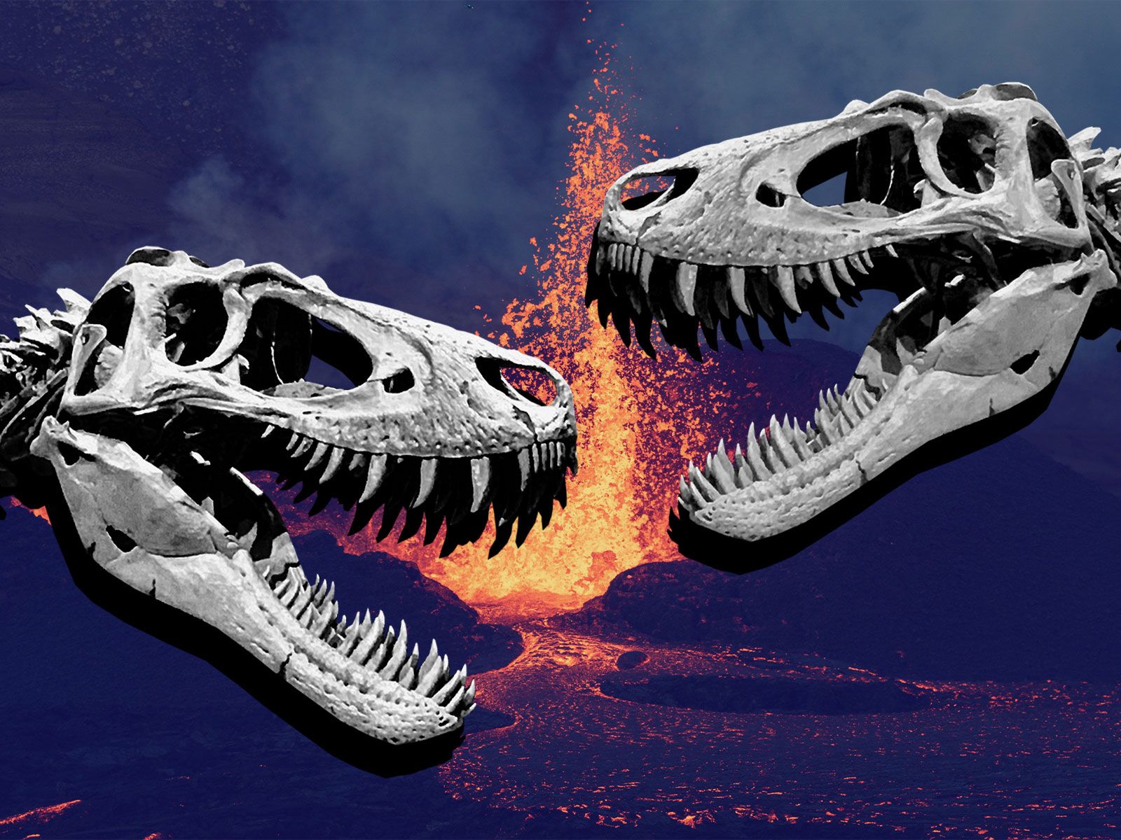 Busted and Broken Fossils Show How Dinosaurs Fought | Science| Smithsonian  Magazine