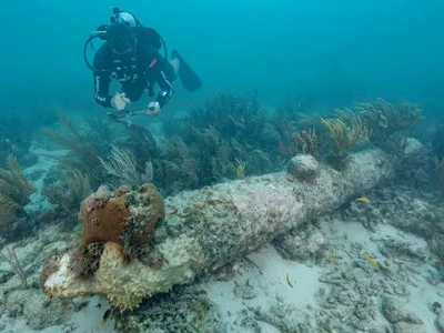 A diver documents one of the five cannons found during a recent archaeological survey of the wreck in Dry Tortugas National Park.