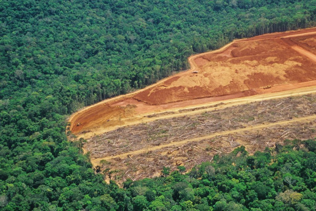 A deforested region of the Amazon rainforest