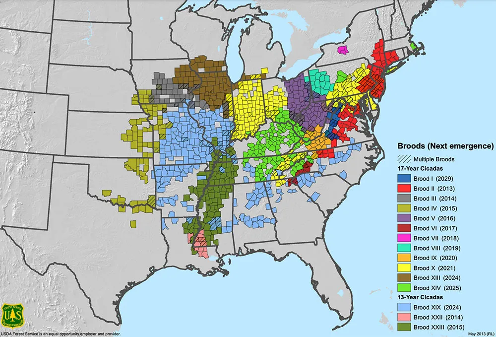 Map of Cicada Broods