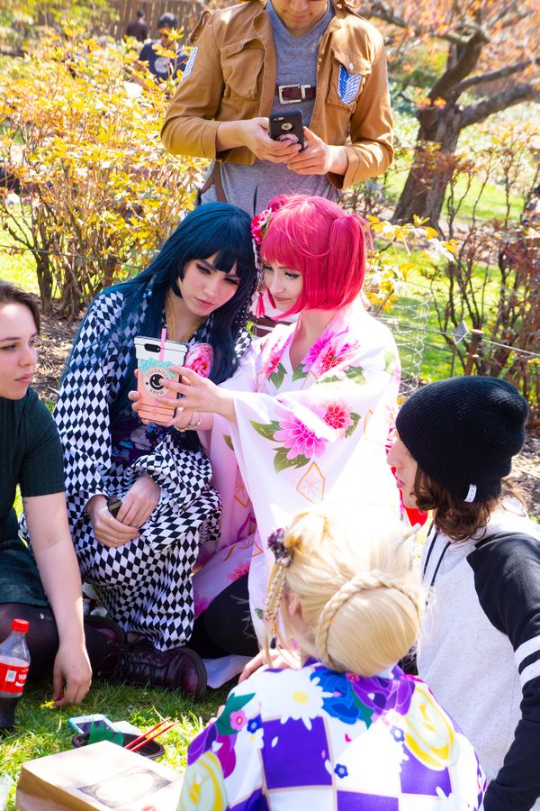 iphone share at cherry blossom festival thumbnail