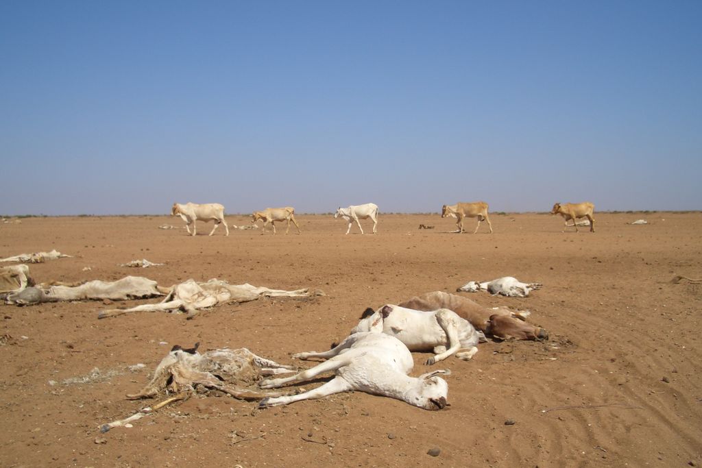 Kenya drought 2006
