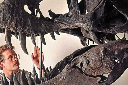 The Tyrannosaurus rex known as Stan, excavated in South Dakota in 1992, is one of the most complete Tyrannosaurus rex skeletons in the world.