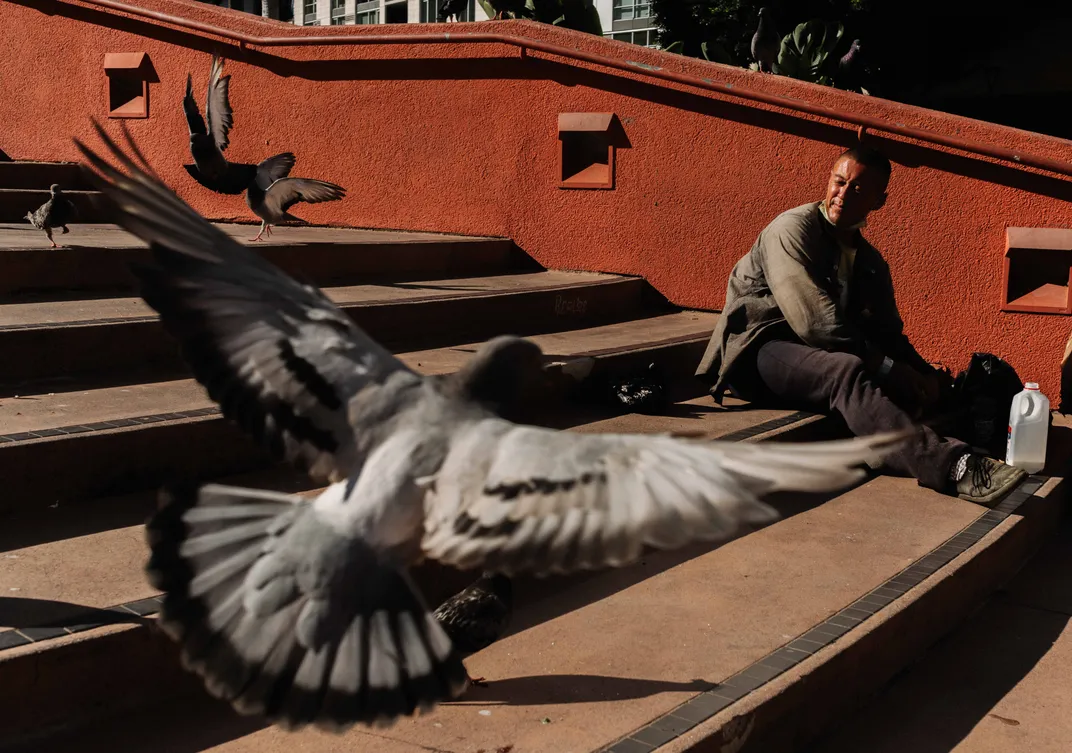 A man feeds birds