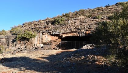 Early Humans May Have Used Fire 1.8 Million Years Ago, Nearly Doubling the Age of the Oldest Known Evidence for the Feat