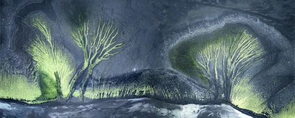 Synthesis of Life II thumbnail