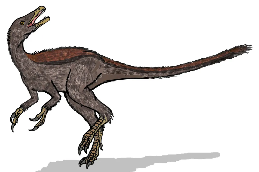 an illustration of a predatory dinosaur with stubby arms, sharp teeth and a long tail
