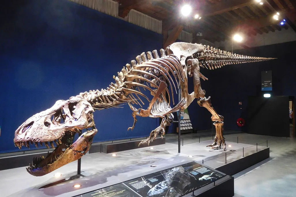 The photo shows a T. rex specimen named "Trix" on display at the Naturalis Biodiversity Center in Leiden 
