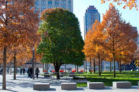 The Survivor Tree was returned to the WTC in 2015. 