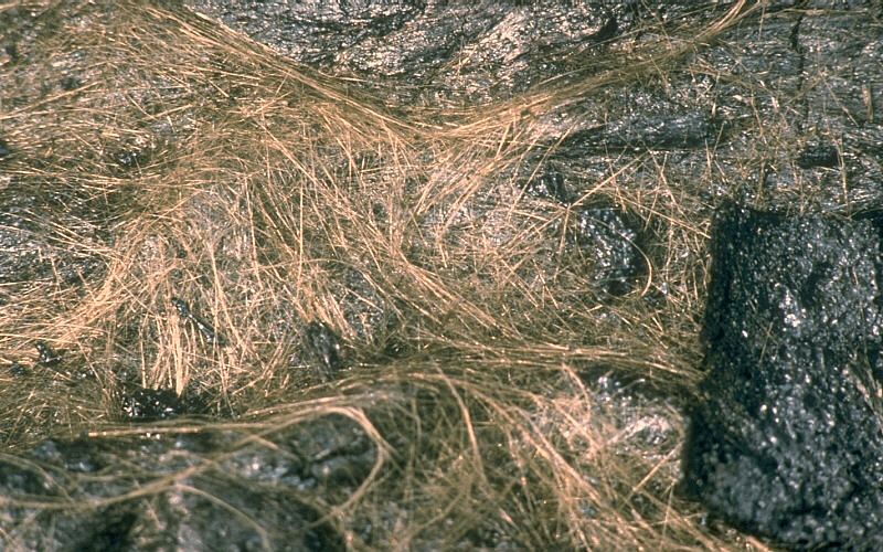 Strands of yellow colored volcanic glass. The strands resemble blond human hair.