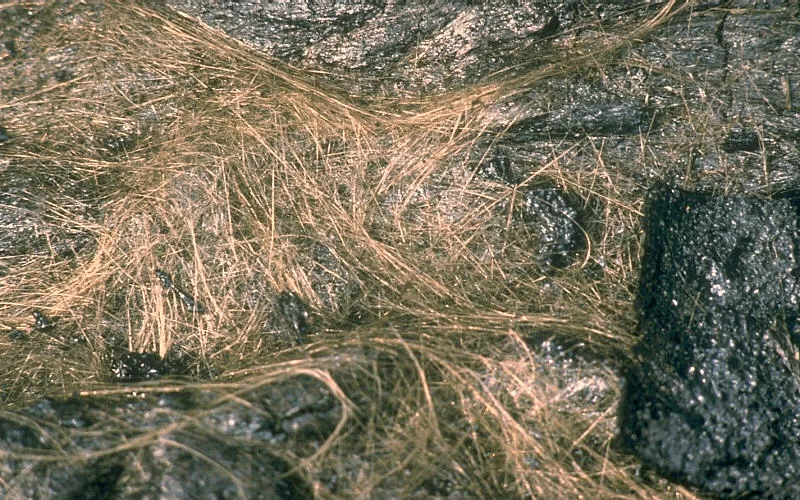 Strands of yellow colored volcanic glass. The strands resemble blond human hair.