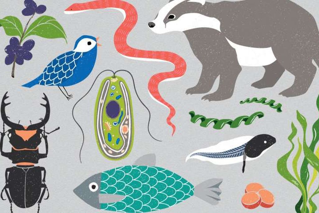 BioGenome