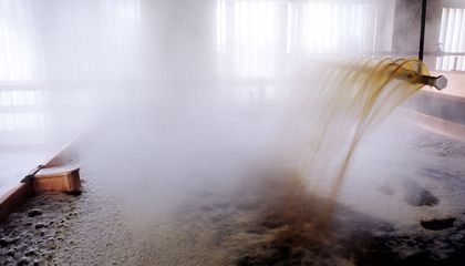 How Far Will Salmon Swim for a Craft Beer?